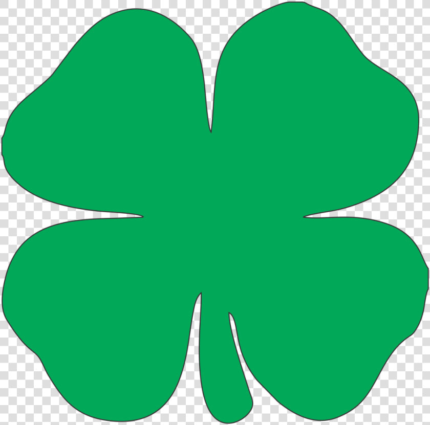 Clover Clipart Shamrock   Shamrock Clipart Png  Transparent PngTransparent PNG