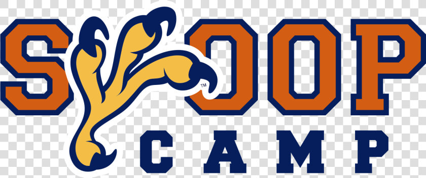 Swoop Camp Logo   University Of Texas At Tyler  HD Png DownloadTransparent PNG