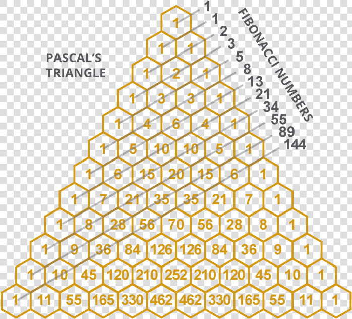 Galton Board Pascal  39 s Triangle  HD Png DownloadTransparent PNG