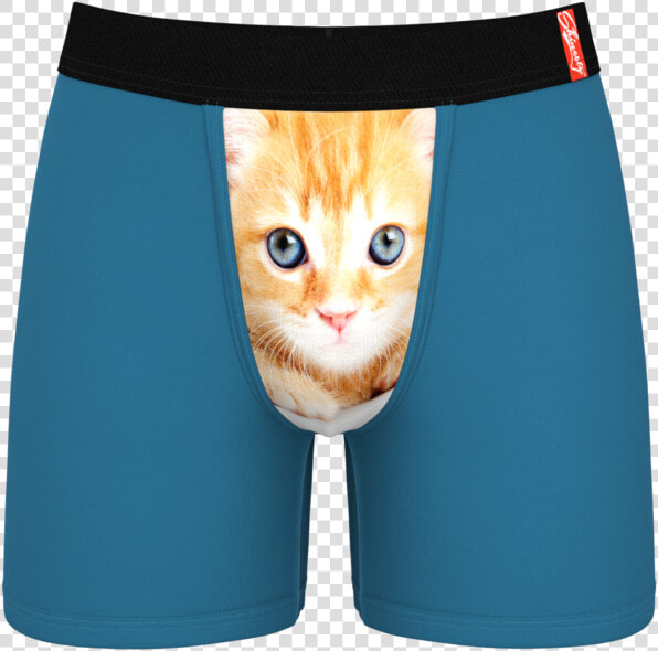 Men S Cat Ball Hammock Boxer Briefs  HD Png DownloadTransparent PNG