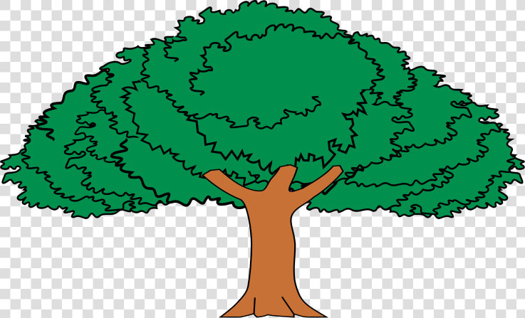 Arbol De Guanacaste Mueble Heraldico   Dibujo Arbol De Guanacaste  HD Png DownloadTransparent PNG