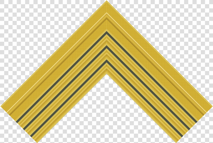 Transparent Colonel Rank Png   Rank Insignia  Png DownloadTransparent PNG