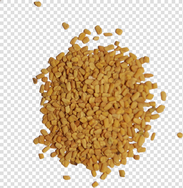 Fenugreek Seeds Png   Png Download   Transparent Fenugreek Png  Png DownloadTransparent PNG