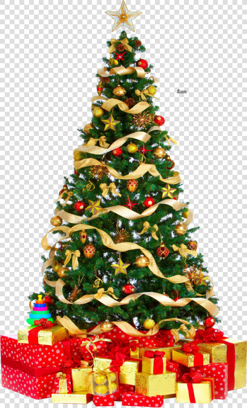 Christmas Tree Png Pic   Christmas Tree Png Download  Transparent PngTransparent PNG