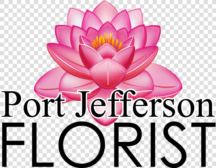 Sacred Lotus   Hellyer  HD Png DownloadTransparent PNG