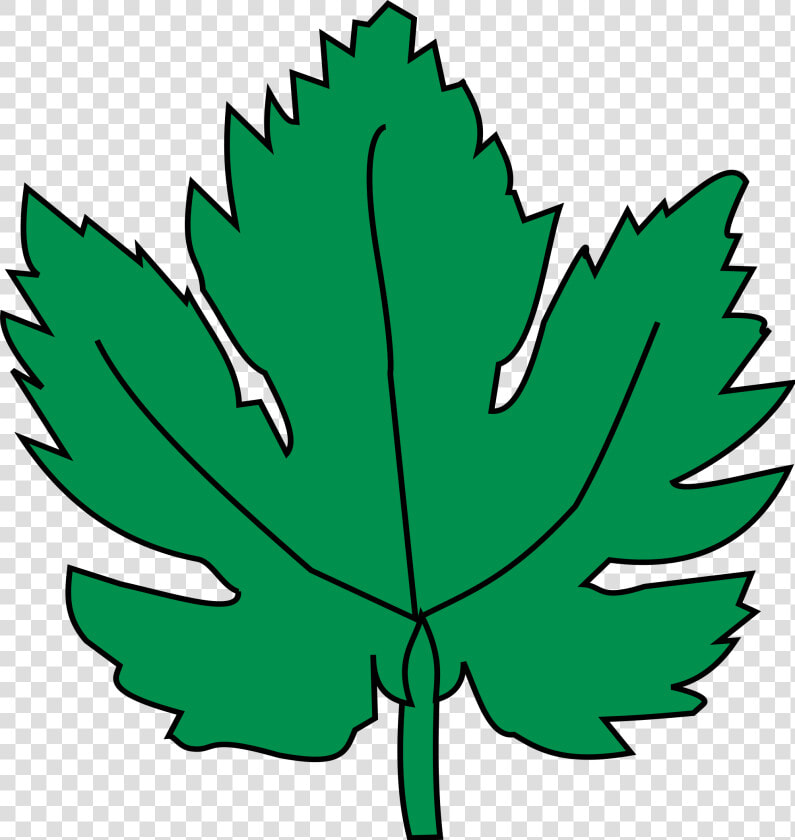 Hoja De La Parra   Png Download   Clip Art Grape Leaf  Transparent PngTransparent PNG