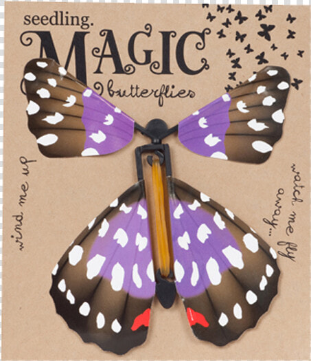 Seedling Magic Butterfly   Monarch Butterfly  HD Png DownloadTransparent PNG