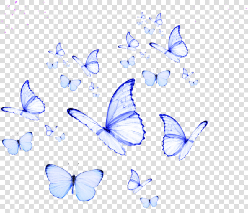  butterfly  butterflies  cute  kpop  purple  overlay   Butterfly Wallpaper Aesthetic  HD Png DownloadTransparent PNG