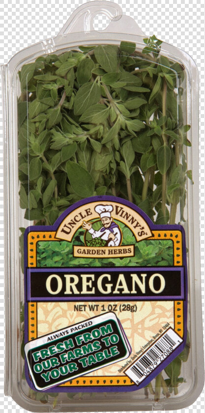 Transparent Oregano Png   Water Spinach  Png DownloadTransparent PNG