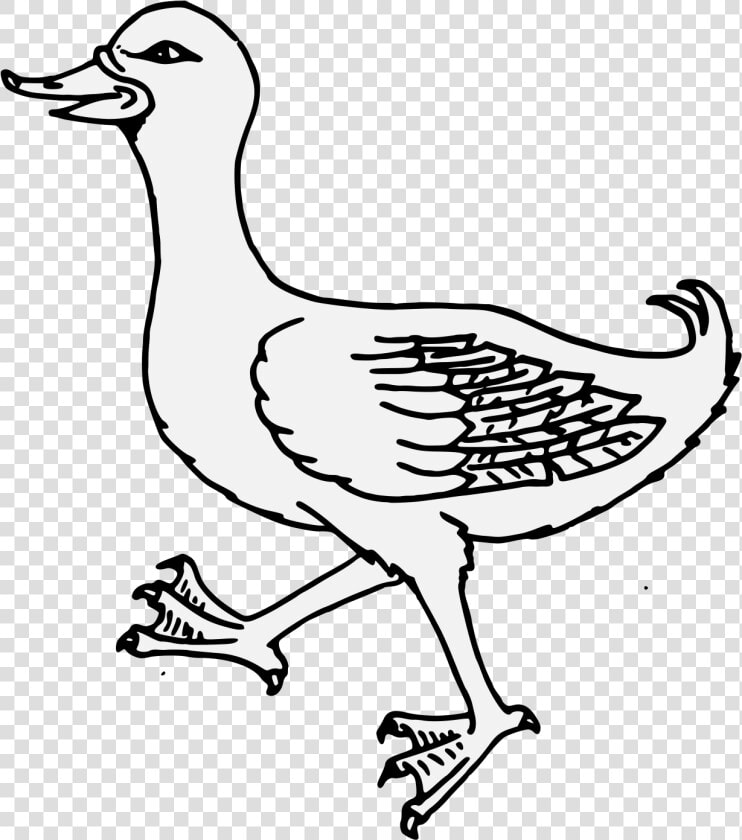 Traceable Ducks  HD Png DownloadTransparent PNG