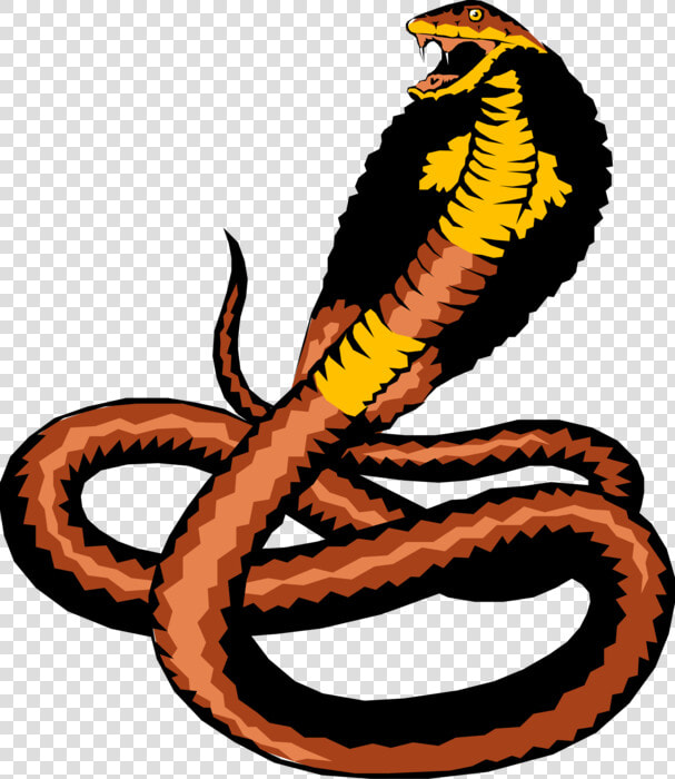 Vector Illustration Of Reptile Cobra Snake Ready To   Cobra  HD Png DownloadTransparent PNG