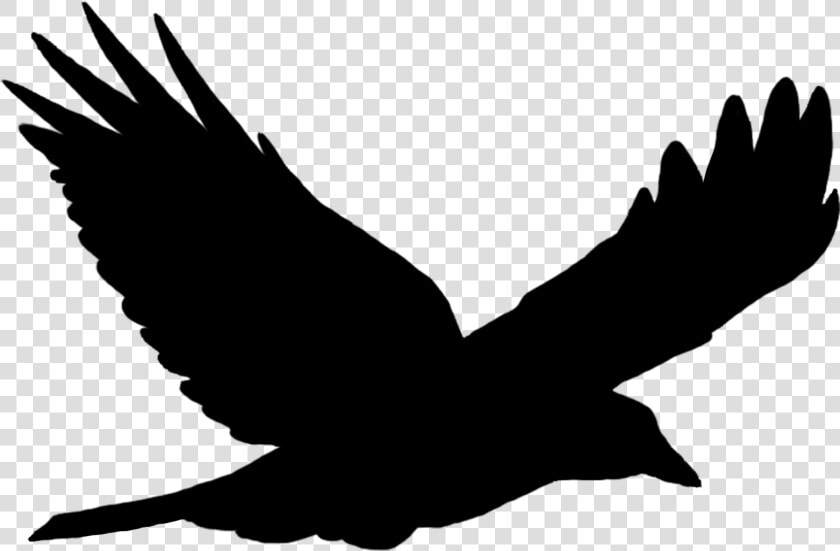 Bird Flying Png Image   Nastenne Kovove Hodiny Tichy Chod  Transparent PngTransparent PNG