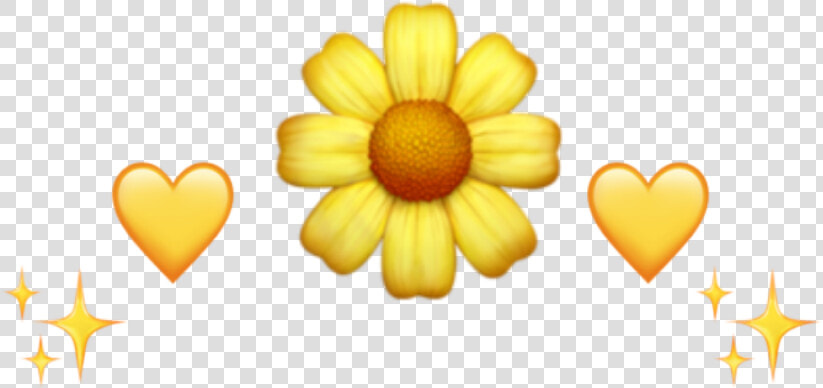  vintage  yellowaesthetic  sunflower  aesthetic  tumblr   Yellow Flower Emoji Png  Transparent PngTransparent PNG