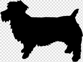 Border Collie Rough Collie Malinois Dog Belgian Shepherd   Cavalier King Charles Spaniel Vector Silhouette  HD Png DownloadTransparent PNG