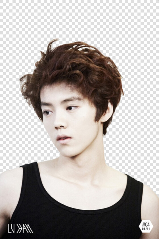 Luhan 165 Photo Luhan   Exo Lu Han  HD Png DownloadTransparent PNG