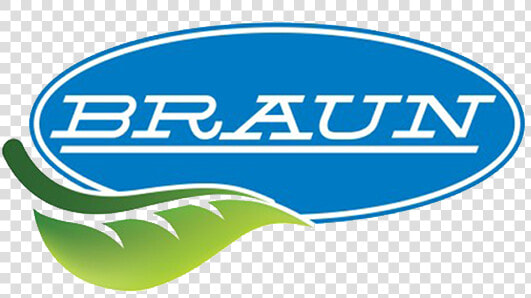 Braun   Oval  HD Png DownloadTransparent PNG