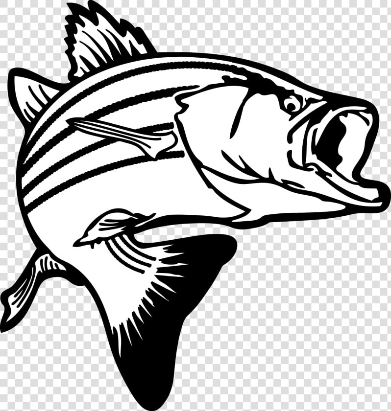 Jumping Bass Fish Clip   Black And White Bass  HD Png DownloadTransparent PNG