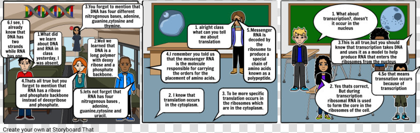 Translation Storyboard Biology  HD Png DownloadTransparent PNG