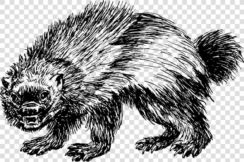 Wolverine Clip Arts   Mean Wolverine Clipart  HD Png DownloadTransparent PNG