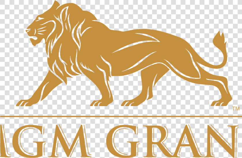 Mgm Grand   Mgm Grand Logo Png  Transparent PngTransparent PNG