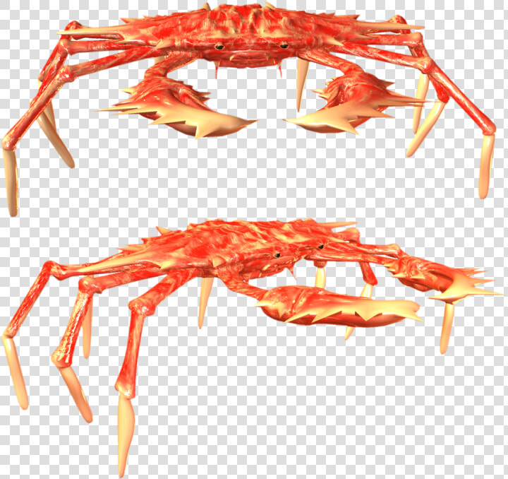 23718   Freshwater Crab  HD Png DownloadTransparent PNG