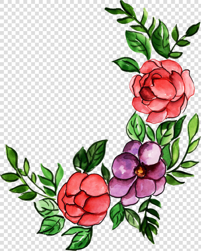 Giant Protea  HD Png DownloadTransparent PNG