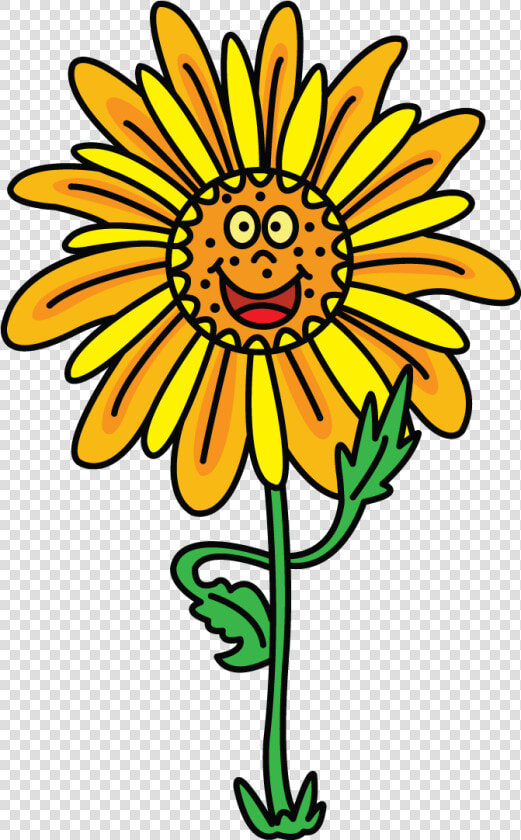 Drawing Sunflowers Small Transparent Png Clipart Free   Drawing  Png DownloadTransparent PNG