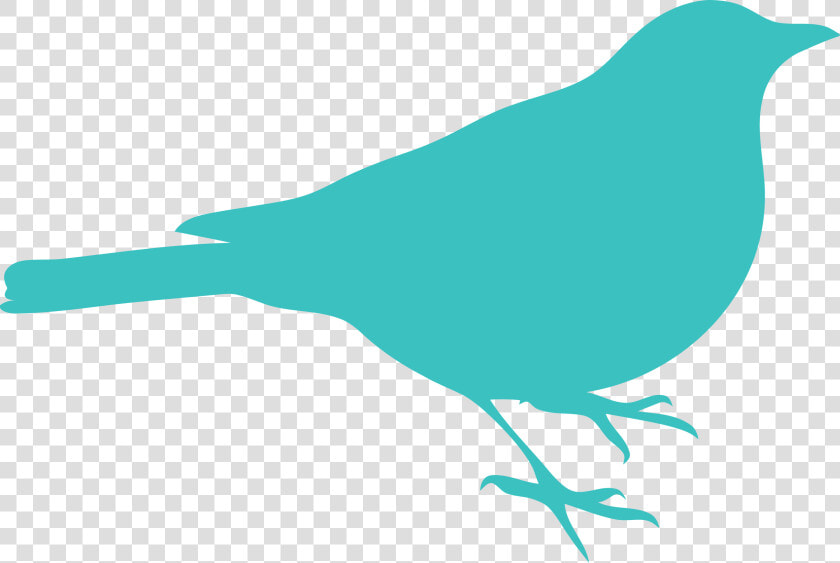 Medium Turquoise Bird Clipart Png   Red Bird Silhouette Png  Transparent PngTransparent PNG