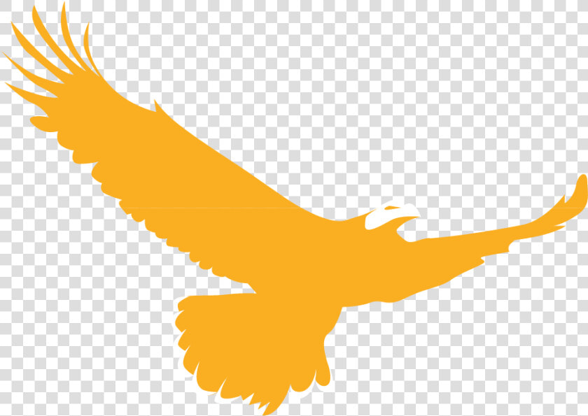 Golden Eagle Clipart Native American   Gold Eagle Logo Png  Transparent PngTransparent PNG