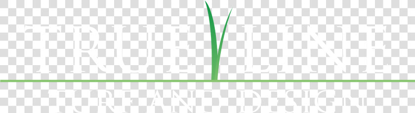 True Line Turf And Design  Llc   Green Grass Line Png  Transparent PngTransparent PNG