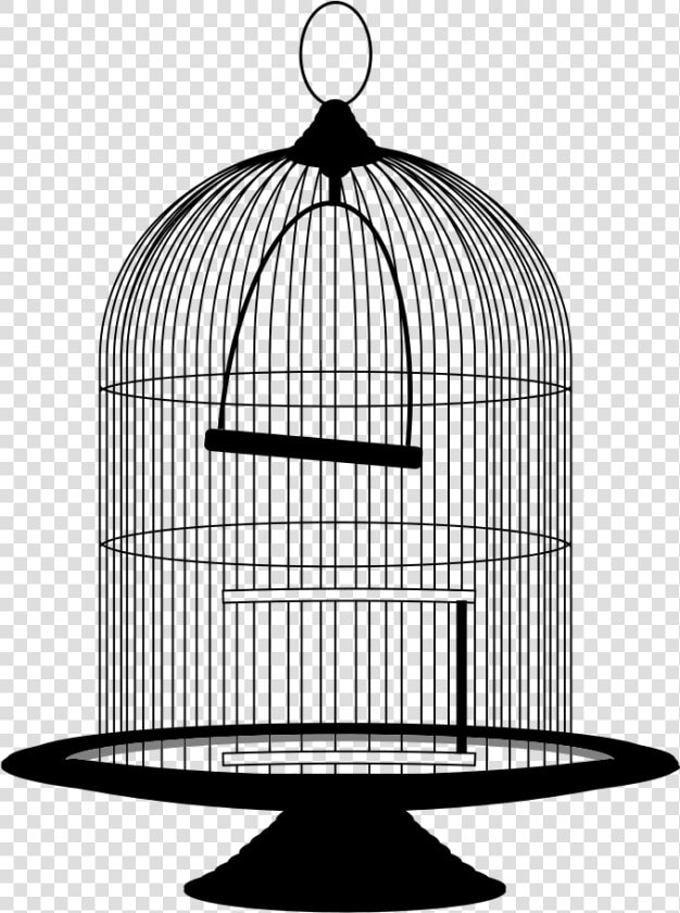 Vintage Victorian Birdcage   Bird Cage Png  Transparent PngTransparent PNG