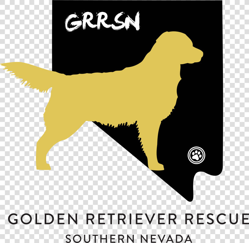 Golden Retriever Rescue Southern Nevada src Https  HD Png DownloadTransparent PNG