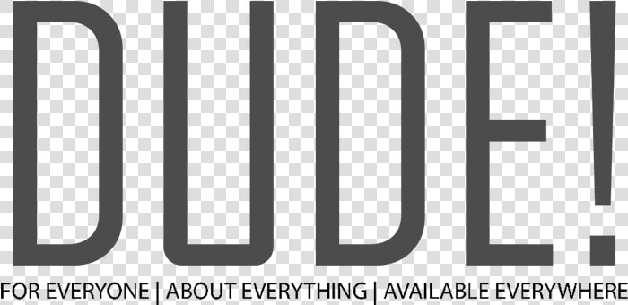 Dude Logo   Statistical Graphics  HD Png DownloadTransparent PNG