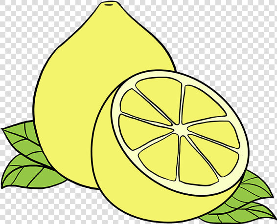 How To Draw Lemon   Drawing Of Lemon  HD Png DownloadTransparent PNG