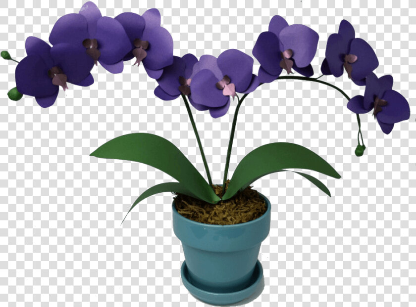 Learn How To Make This Paper Orchid   Pattern Orchid Templates  HD Png DownloadTransparent PNG