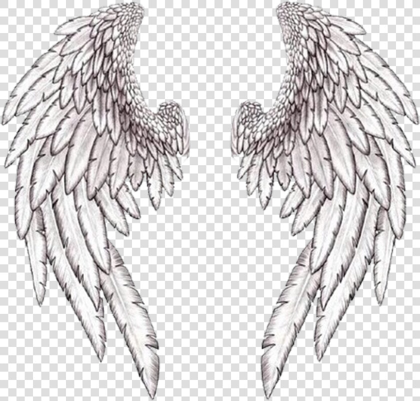 Wings Wing Angle بال Freetoedit   Guardian Angel Wings  HD Png DownloadTransparent PNG