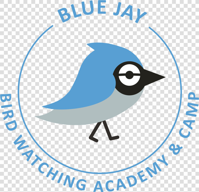 Transparent Blue Jay Feather Clipart   Oil  amp  Gas Uk  HD Png DownloadTransparent PNG