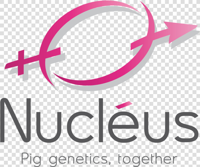 Nucleus  HD Png DownloadTransparent PNG