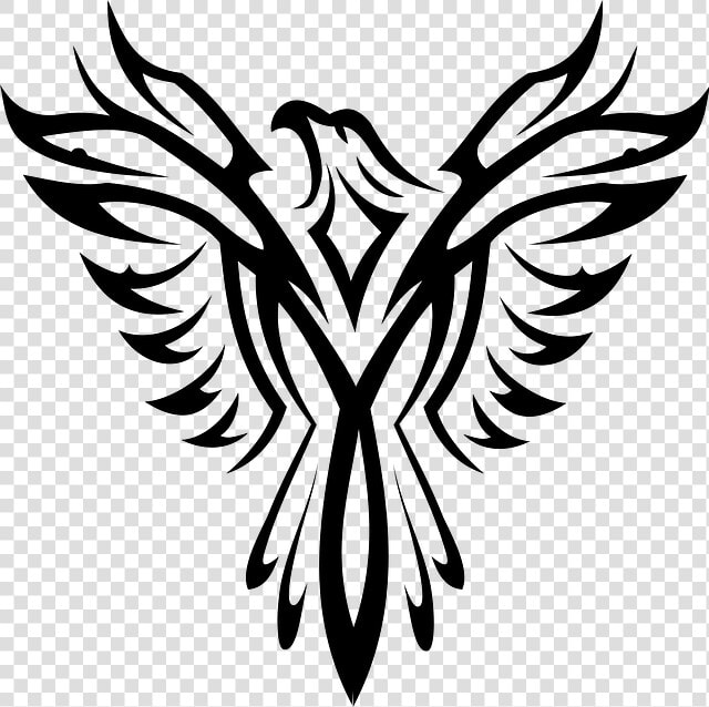 Black  Symbol  White  Eagle  Bird  Aquila  Tattoo   Phoenix Tattoo  HD Png DownloadTransparent PNG