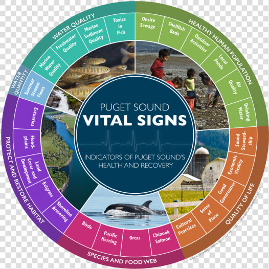 As Of 2016  The Puget Sound Vital Signs Wheel Shows   Puget Sound Vital Signs  HD Png DownloadTransparent PNG