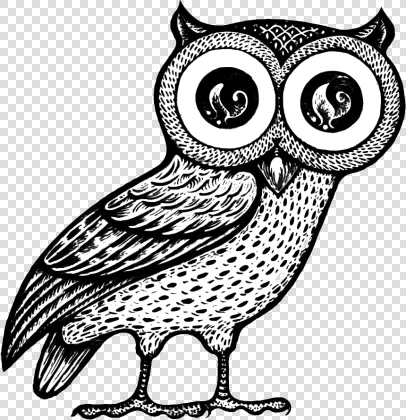 Owl Of Athena   Owl Of Athena Png  Transparent PngTransparent PNG