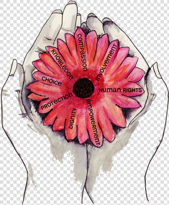 Integritas Support Provides An Independent Social Work   Oriental Poppy  HD Png DownloadTransparent PNG