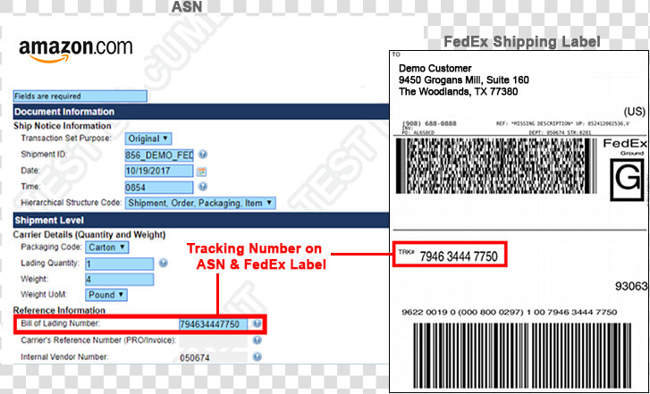 Sample Fedex Edi Integration Advance Shipment Notice   Amazon Video  HD Png DownloadTransparent PNG