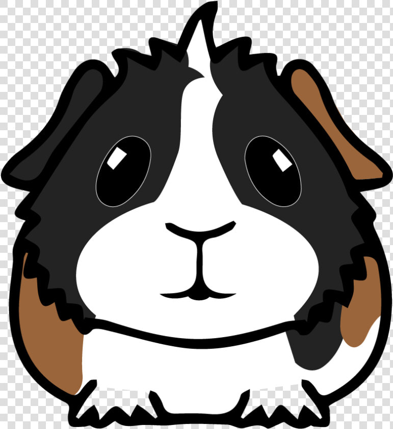 Guinea Pig   Guinea Pig Face Clipart  HD Png DownloadTransparent PNG