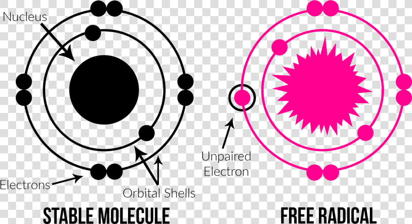 Molecule And Free Radical Diagrams   Free Radical Molecules  HD Png DownloadTransparent PNG