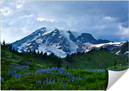 Summer At Mount Rainier   Mount Rainier National Park  Nisqually Glacier  HD Png DownloadTransparent PNG