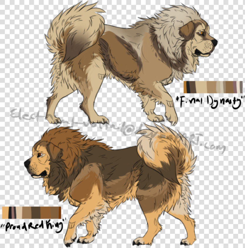 Tibetan Mastiff Drawing  HD Png DownloadTransparent PNG