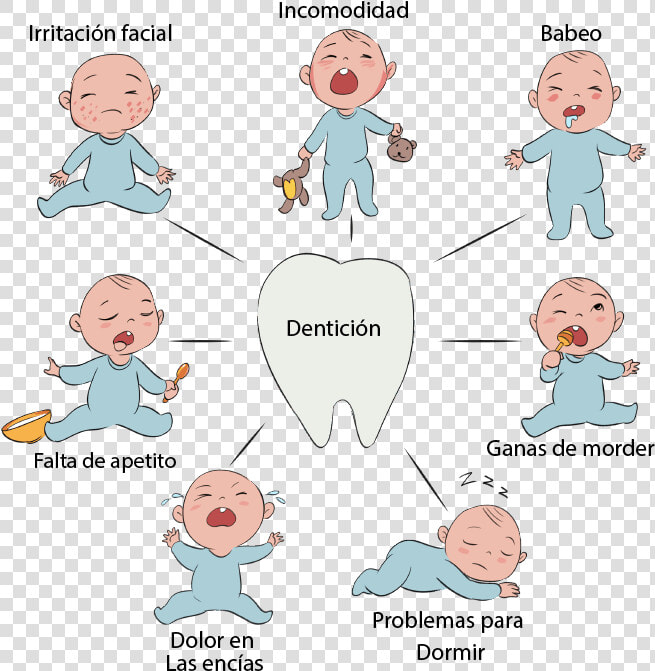 Sintomas La Denticion Del Bebe   Png Download   Cartoon  Transparent PngTransparent PNG