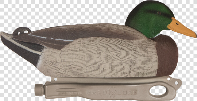 Rugged Standard Mallard Rester Drake Floater W  Flocked   Mallard  HD Png DownloadTransparent PNG