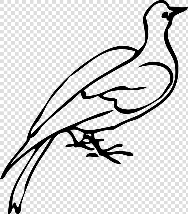 Dove  Bird  Species  Freedom  Love  Symbol  Icon  HD Png DownloadTransparent PNG